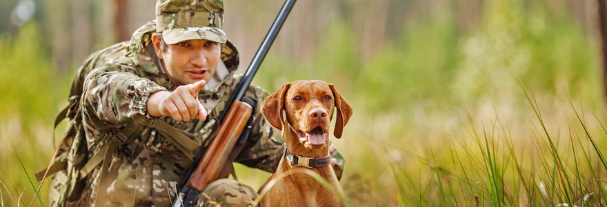 Chasse-en-compagnie-de-chiens