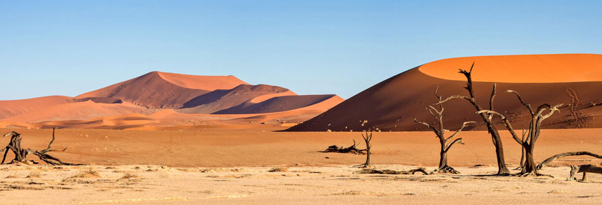 Découvrir le désert de Namibie