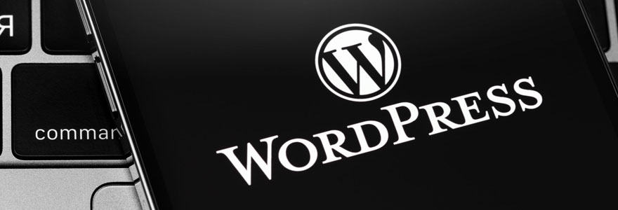 formation WordPress